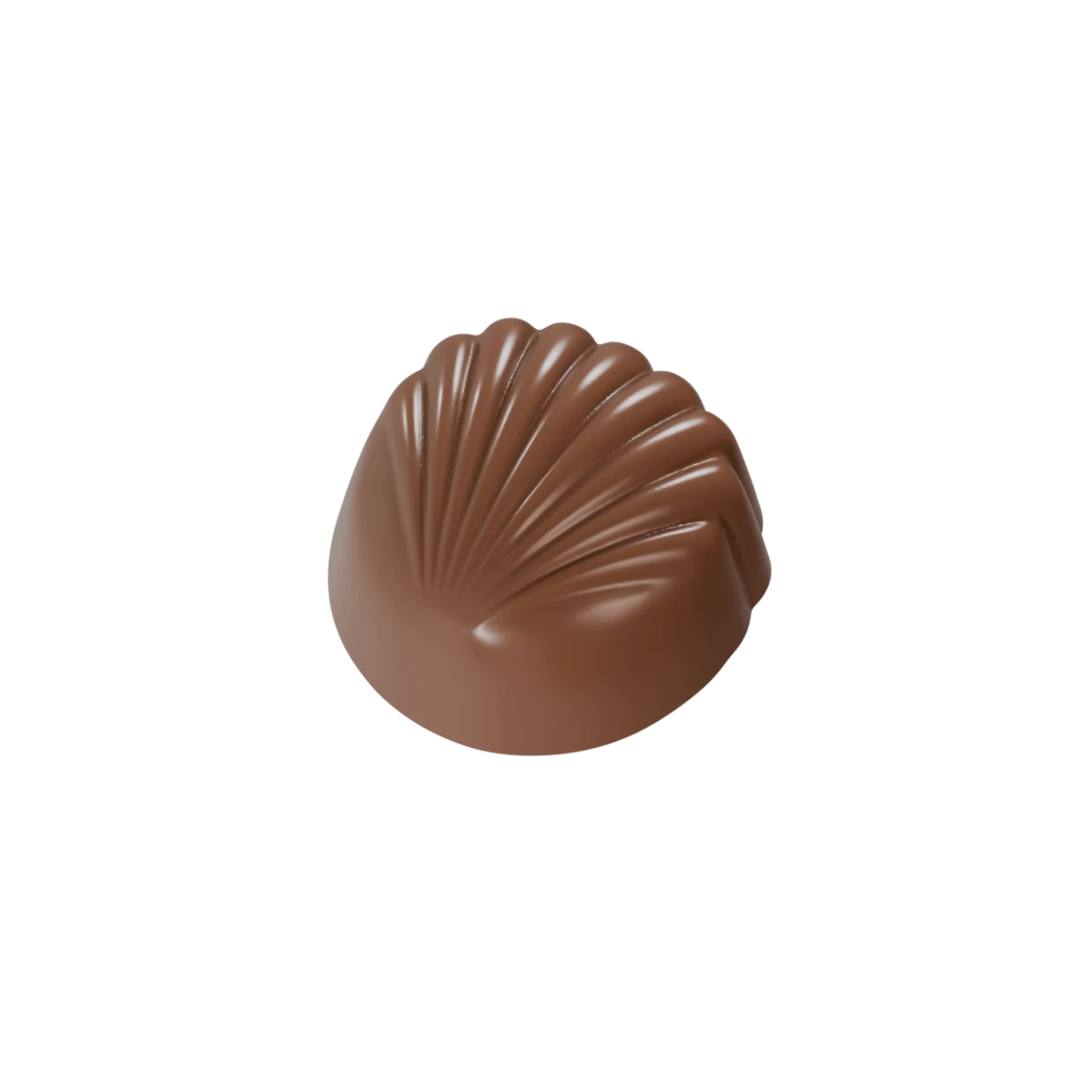 0005-Spesiyal Deniz Kabuğu Modeli Polikarbon Çikolata Kalıbı